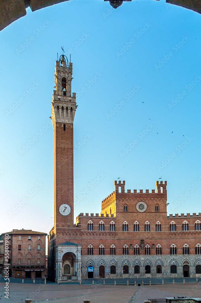 Piazza del Campo with the Mangia Tower