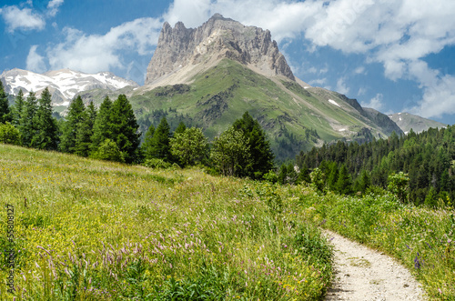 Beautiful Montain Landscape