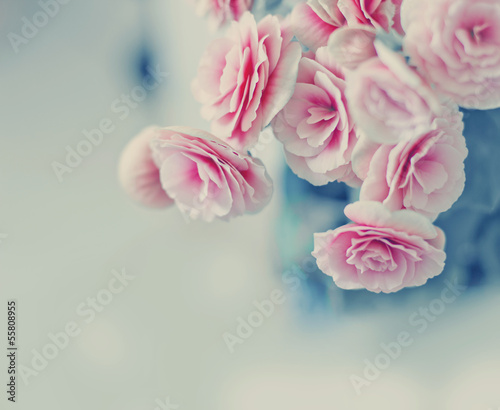 Roses in vintage style Pink flower background