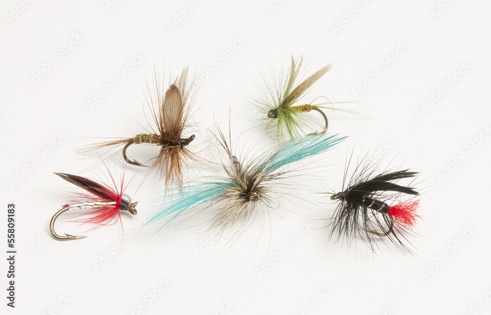Selection of hand tied fishing flies on white