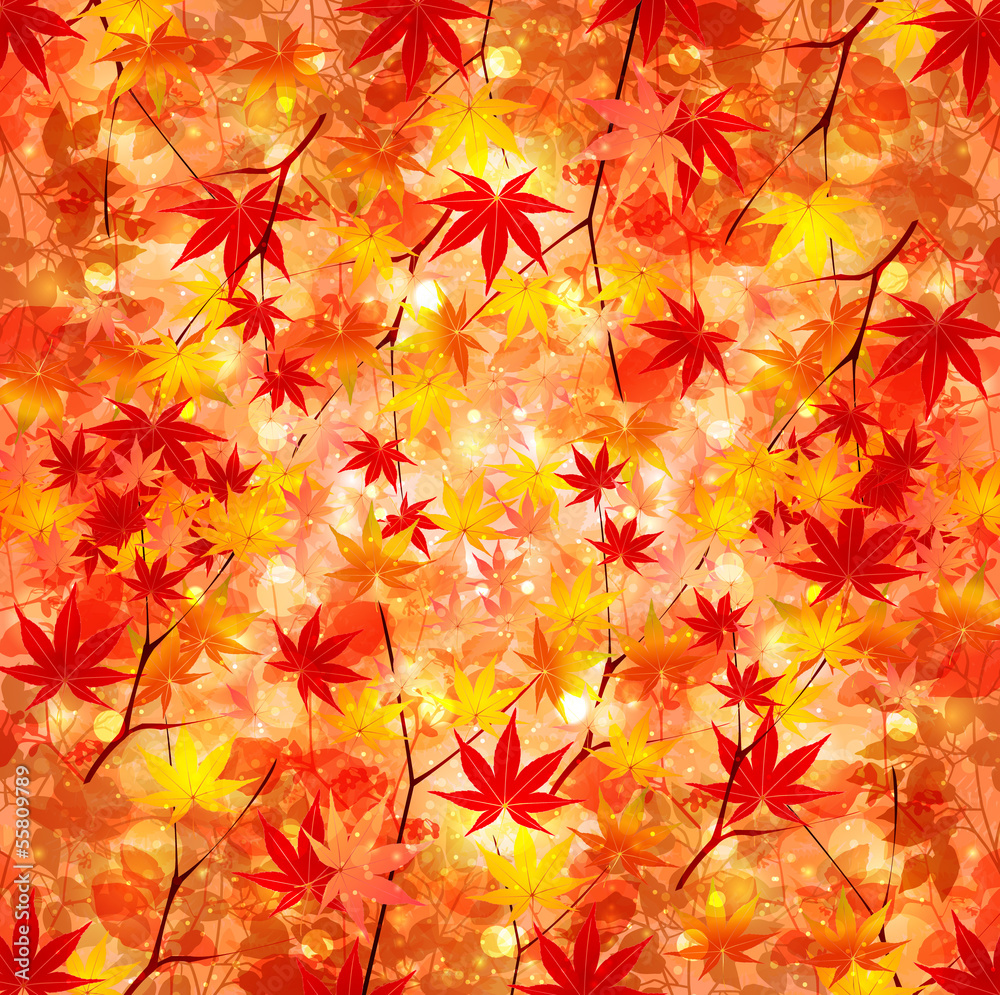 もみじ 紅葉 背景 もみじ 紅葉 背景