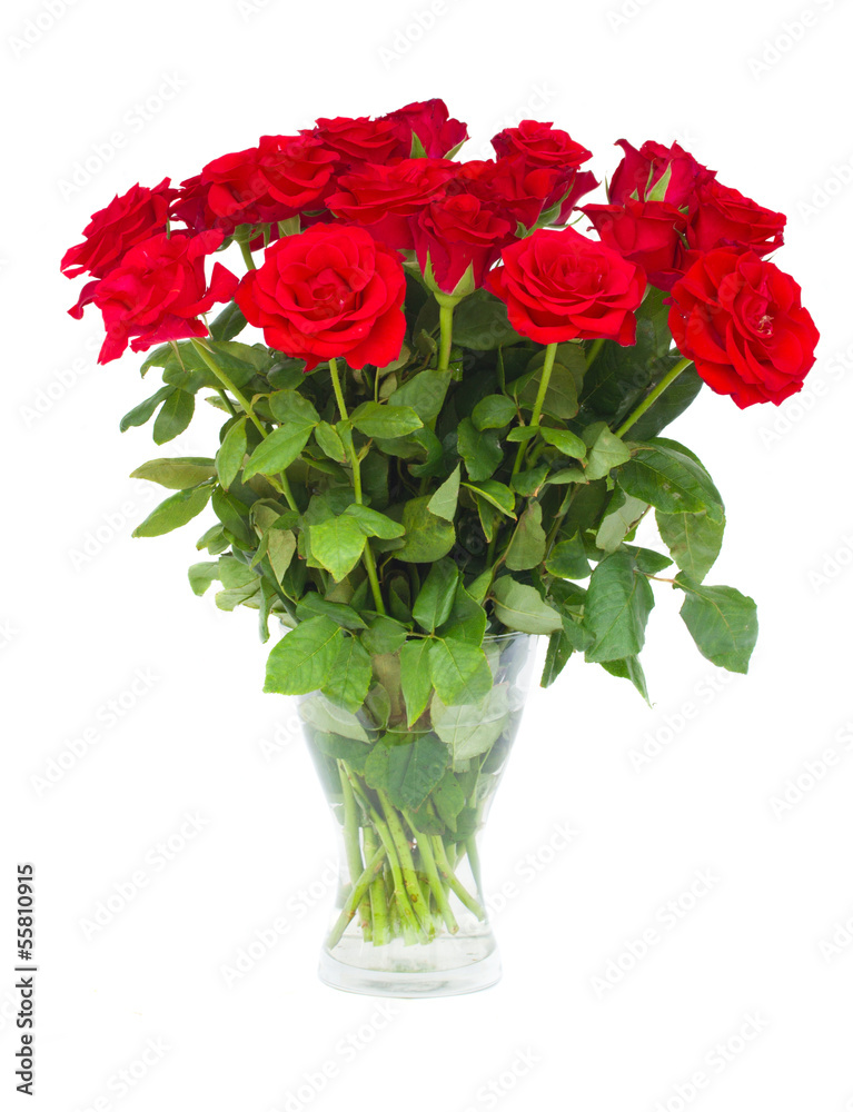 bouquet  of scarlet roses in vase