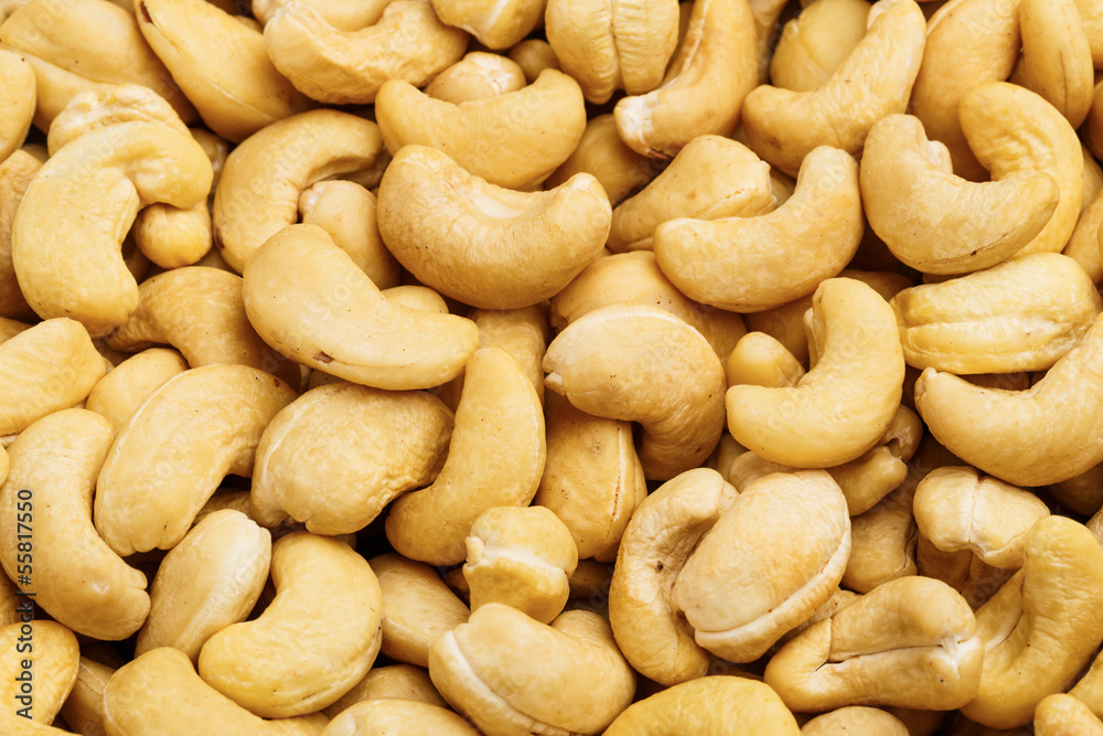 Fresh cashew nuts Fresh cashew nuts