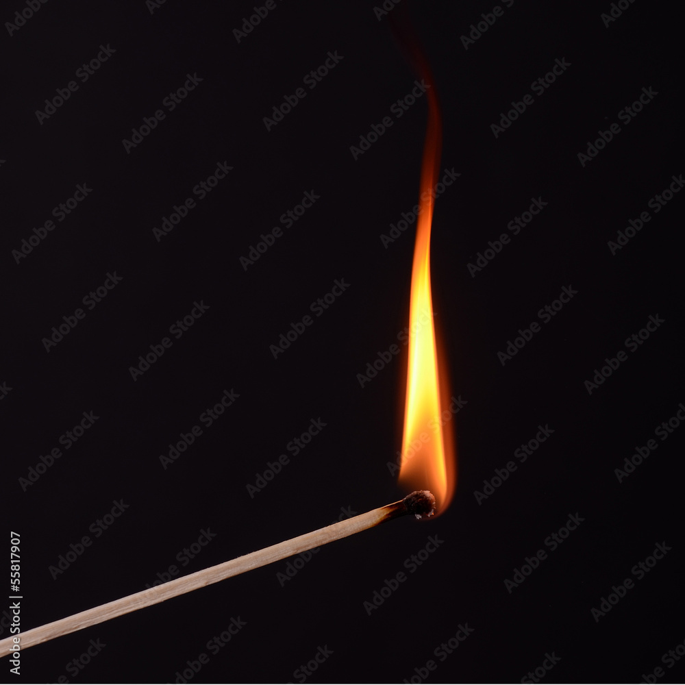 feuer feuer