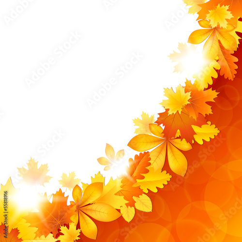 Background with autumn leaves