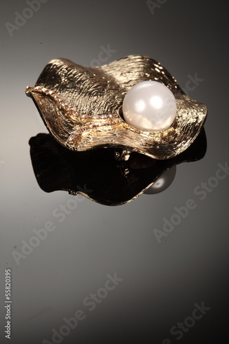 jewelery brooch