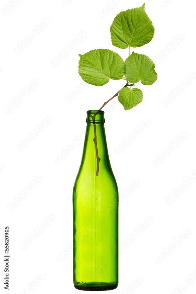 Green bottle with a plant inside