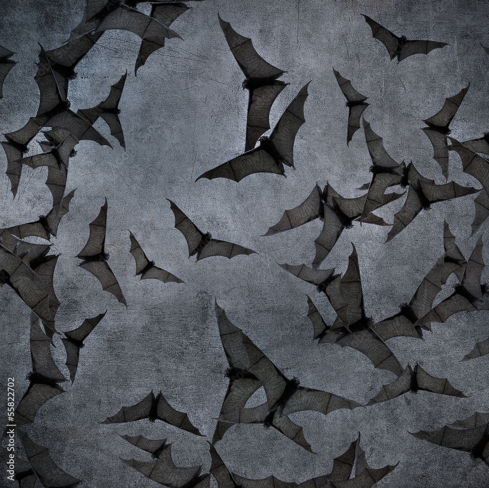 Obraz premium bats in the dark cloudy sky, perfect halloween background
