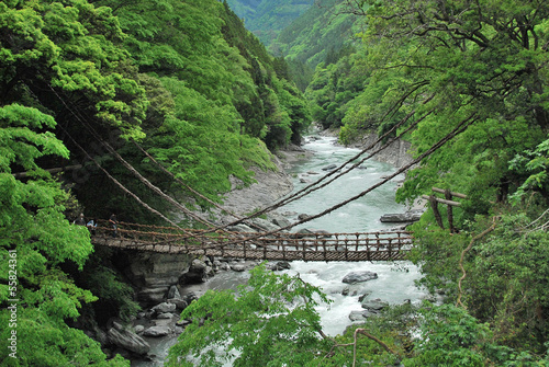 Pont de lianes Kazura-bashi à Nishi-Iya, Shikoku, Japon #55824361