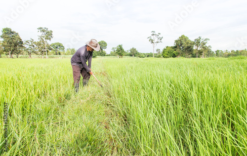 Farmer working © U2M Brand