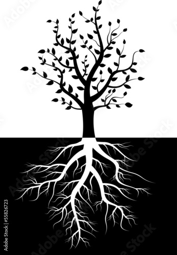 tree silhouette with roots