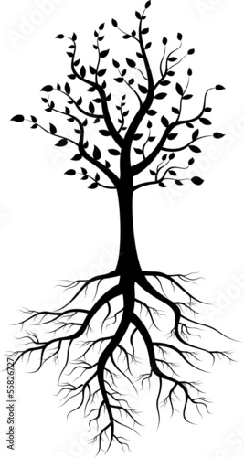 tree silhouette with roots