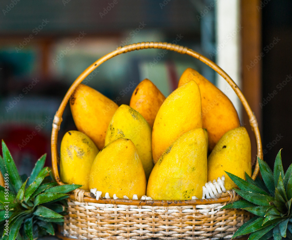 Mango fruit , thailand