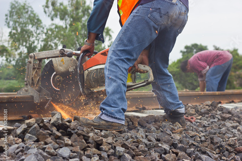 Workers were cutting tracks for maintenance.