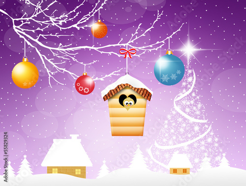 Christmas balls