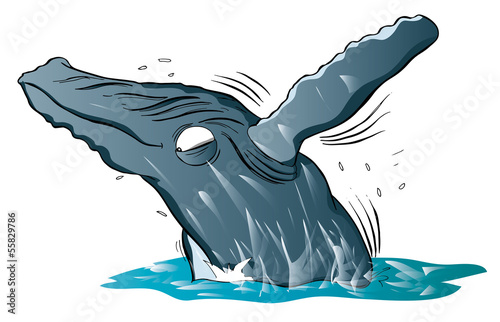 whale