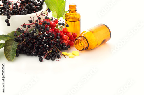 Elderberry in mortar  viburnum  medicines. Homeopathy concept.
