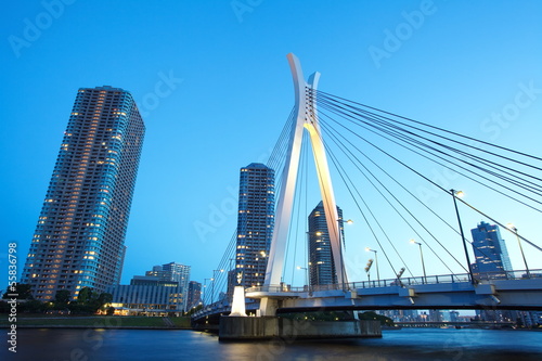 Tokyo cityscape ,Sumida river