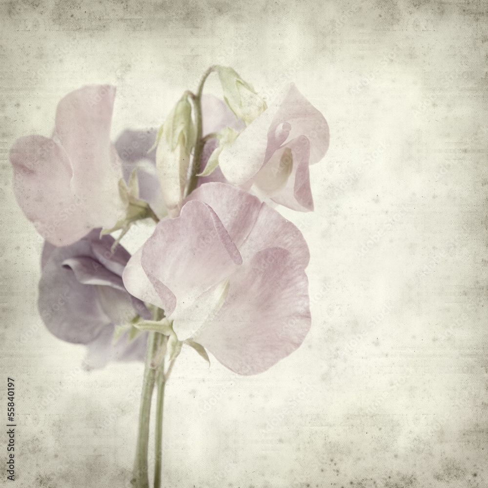 textured old paper background textured old paper background