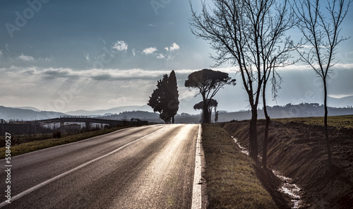 Asphalt Road in Umbria, Italy