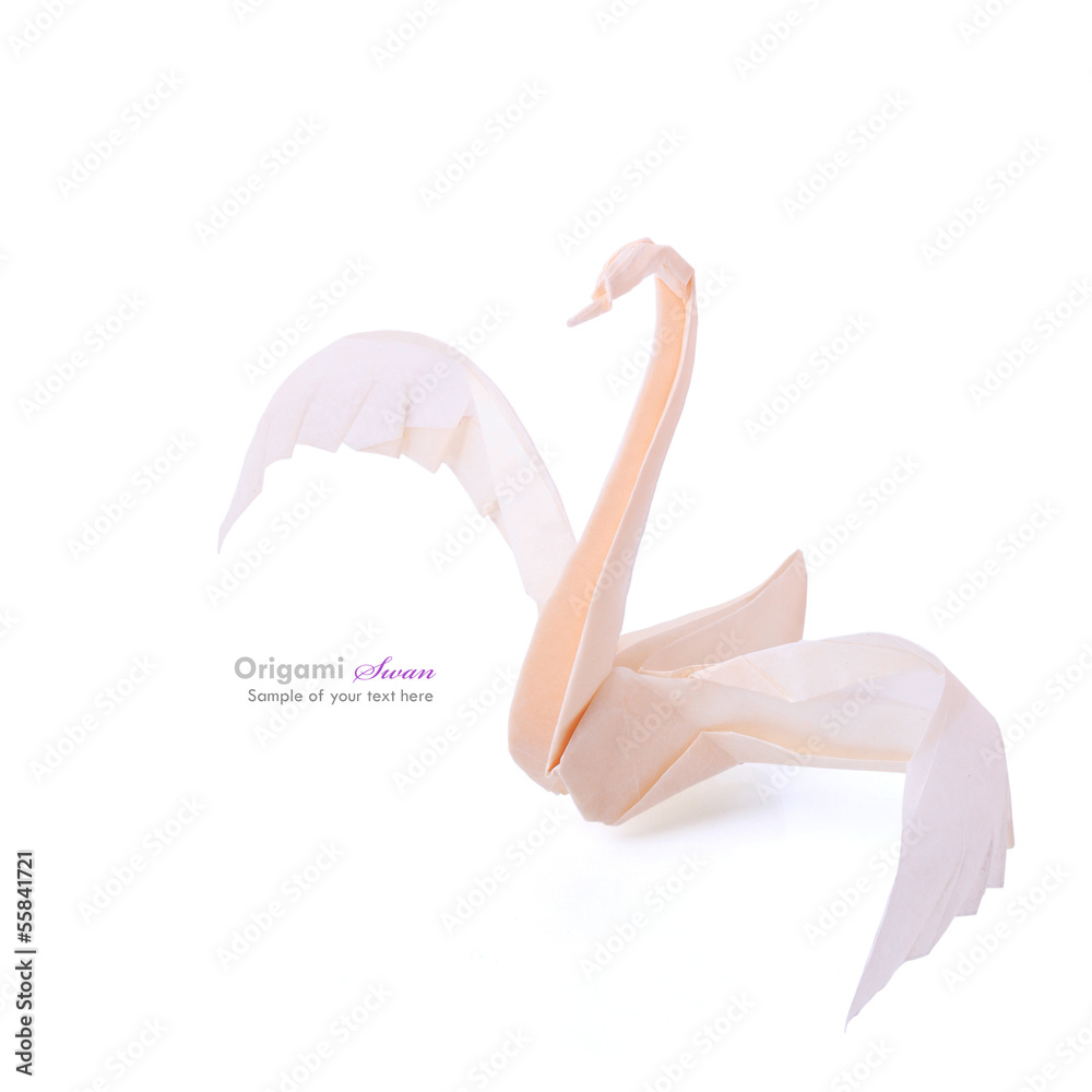 Naklejka premium Fragility swan