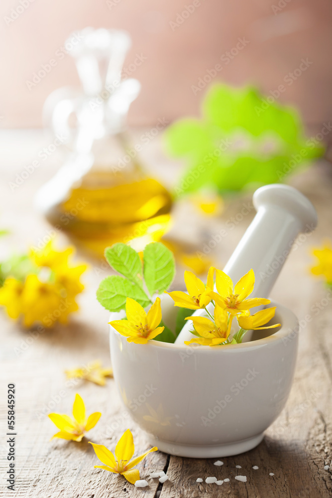 mortar with flowers and herbs mortar with flowers and herbs