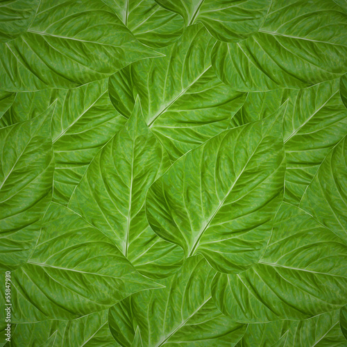 Seamless pattern of green leaves