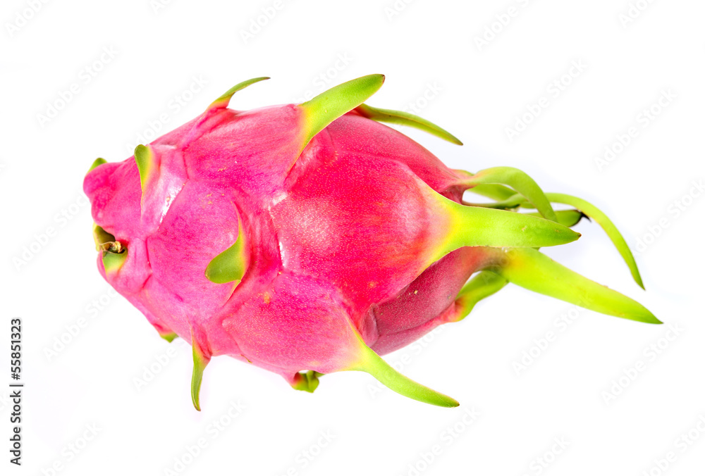 Dragon fruit on white background, Hylocercus undatus (Haw) Brit. Dragon fruit on white background, Hylocercus undatus (Haw) Brit.