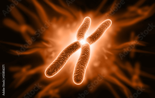 chromosome © abhijith3747