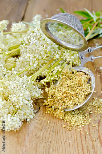 Herbal tea from meadowsweet dry in a strainer photo