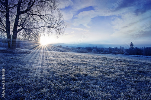 winter morning with sunrise