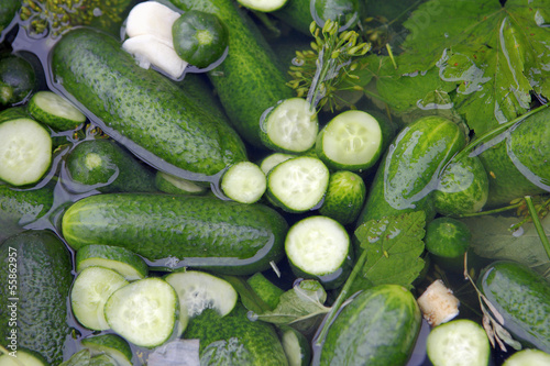 pickling cucumbers photo