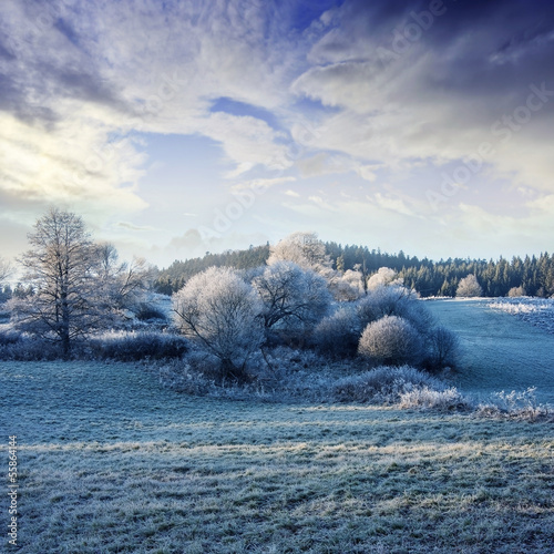 a winter morning with a beautiful sunrise - frozen landscape
