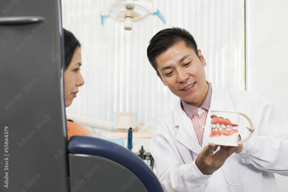 Dentist Showing Model Of Teeth To Female Patient Dentist Showing Model Of Teeth To Female Patient