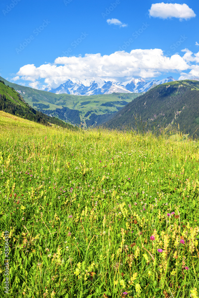Fototapeta premium landscape of french Alps