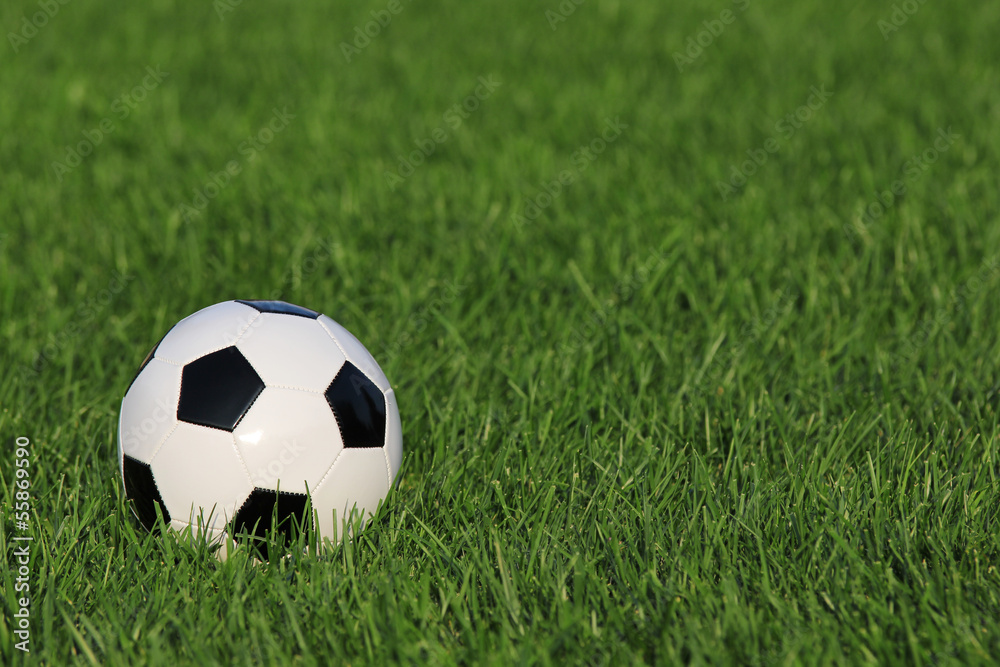 soccer ball on green grass. football soccer ball on green grass. football