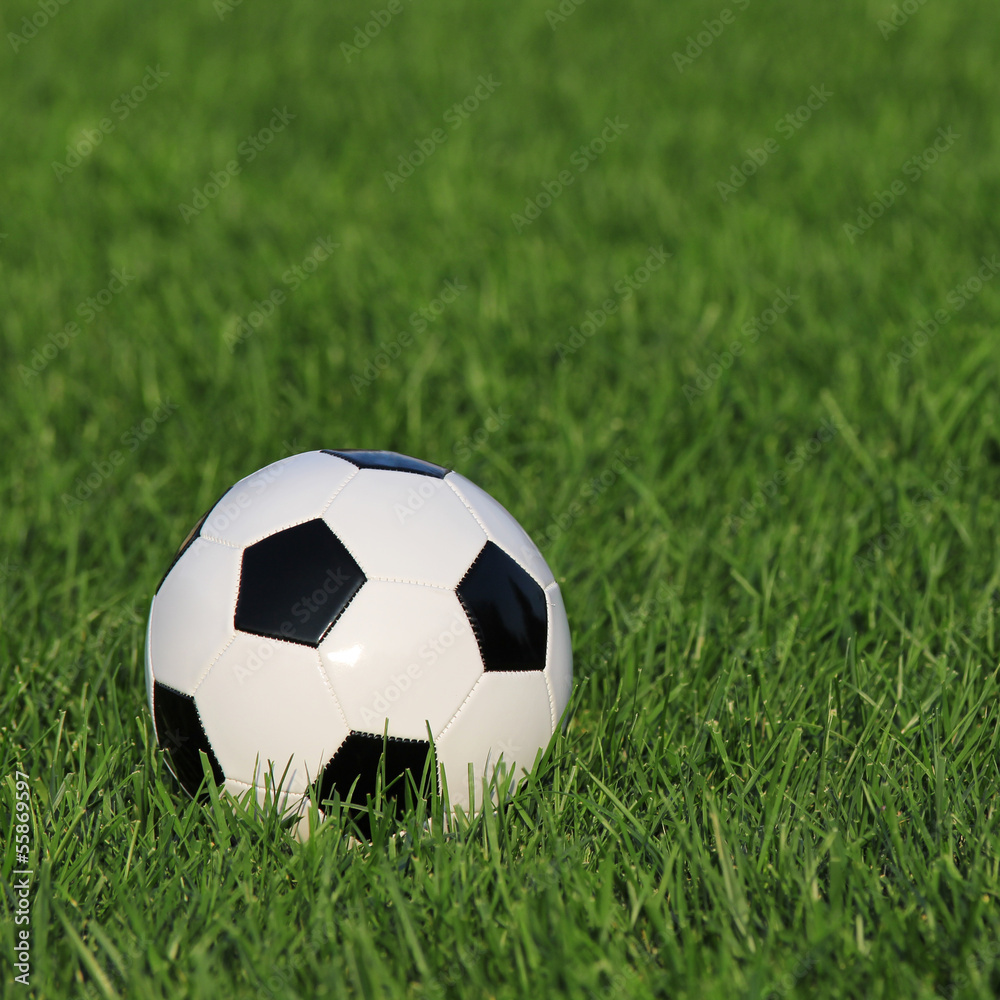 soccer ball on green grass. football