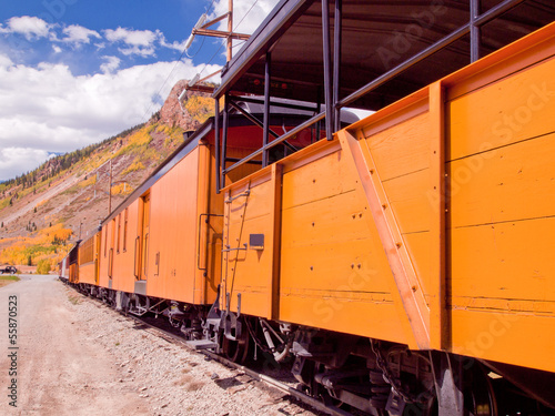 Narrow Gauge Train photo