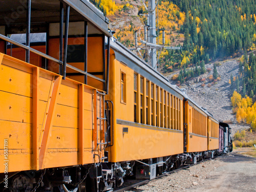 Narrow Gauge Train photo