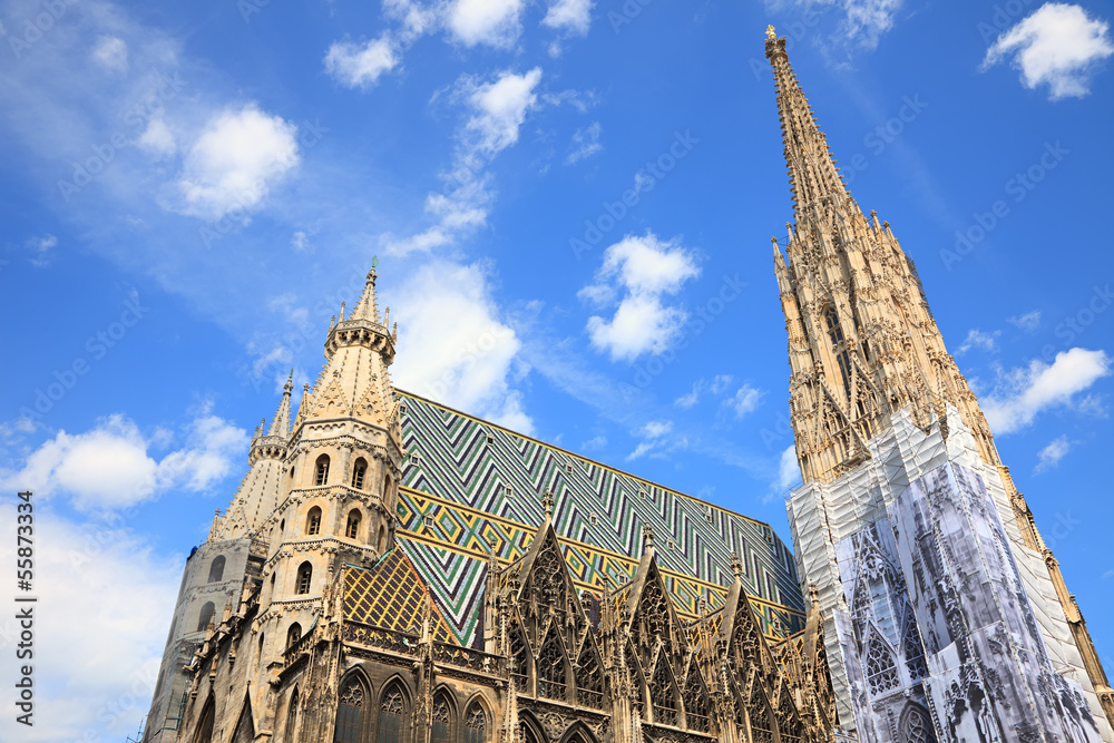 Fototapeta premium St. Stephan cathedral in Vienna