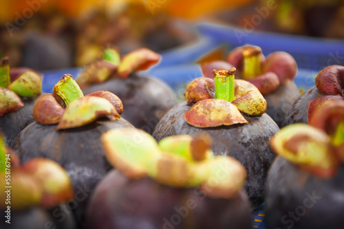 mangosteen (Garcinia mangostana Linn.) photo