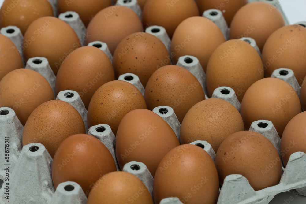 egg egg