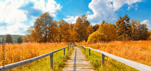 Herbst im Hochmoor, Schopfloch photo