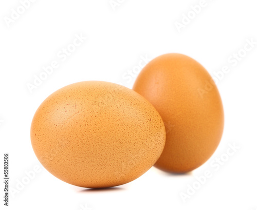 Two eggs isolated