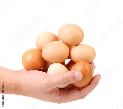 hands holding eggs isolated