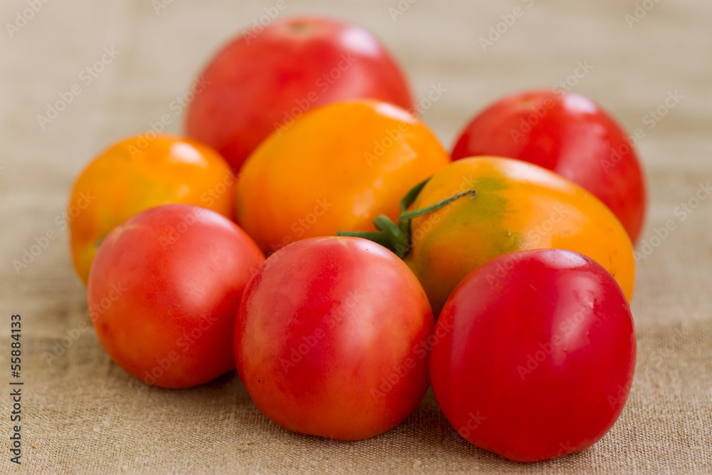Yellow and red tomatoes Yellow and red tomatoes