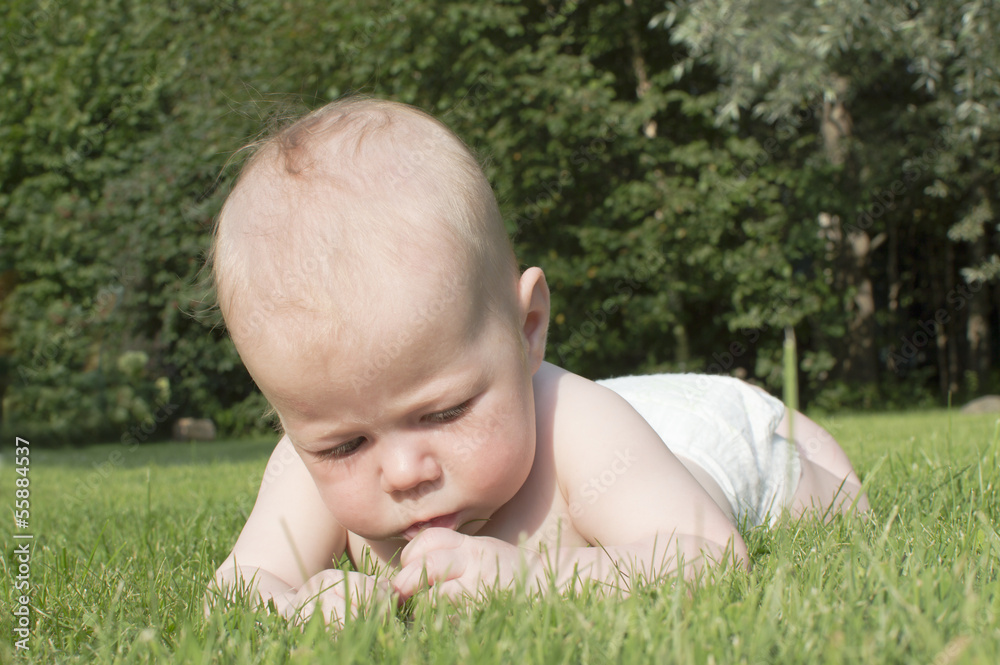 The baby lies on a grass.