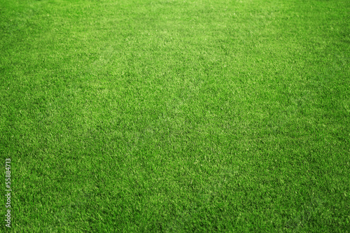 Perfect green grass at the sport field or back yard