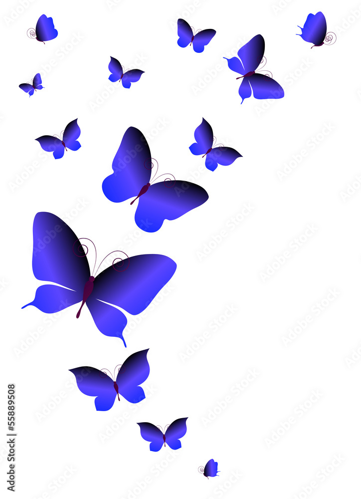 Fototapeta premium butterflies design