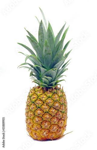 Fresh pineapple fruit over white